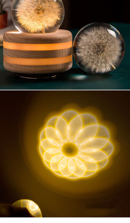 Dandelion Plant Specimen Crystal Ball Music Box