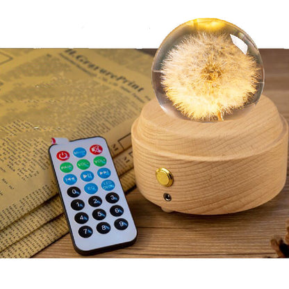 Dandelion Plant Specimen Crystal Ball Music Box