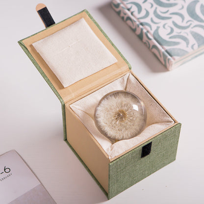 Dandelion Plant Specimen Crystal Ball Music Box