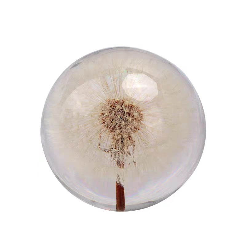 Dandelion Plant Specimen Crystal Ball Music Box